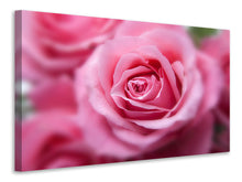 Load image into Gallery viewer, Canvas print Roses macro
