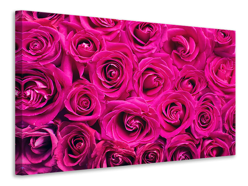 Canvas print Rose petals in pink