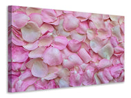 Canvas print Rose petals in pink 2