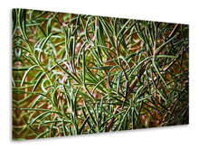 Load image into Gallery viewer, Canvas print Rosemary XXL
