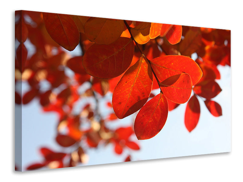 Canvas print Red leaves XL