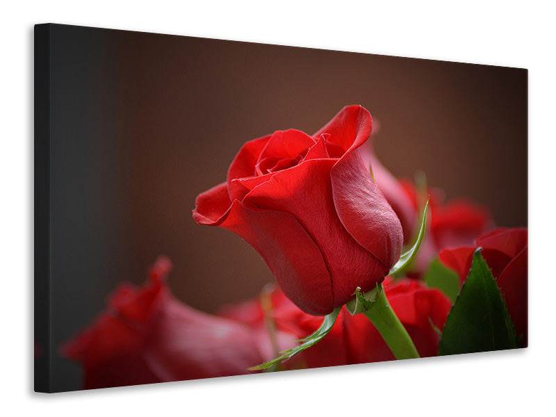 Canvas print Red rose in XL