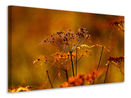 Canvas print seeds