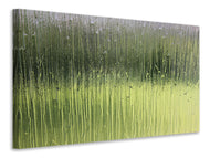 Canvas print Satined glass