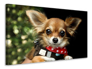 Canvas print Look into my eyes, Small !