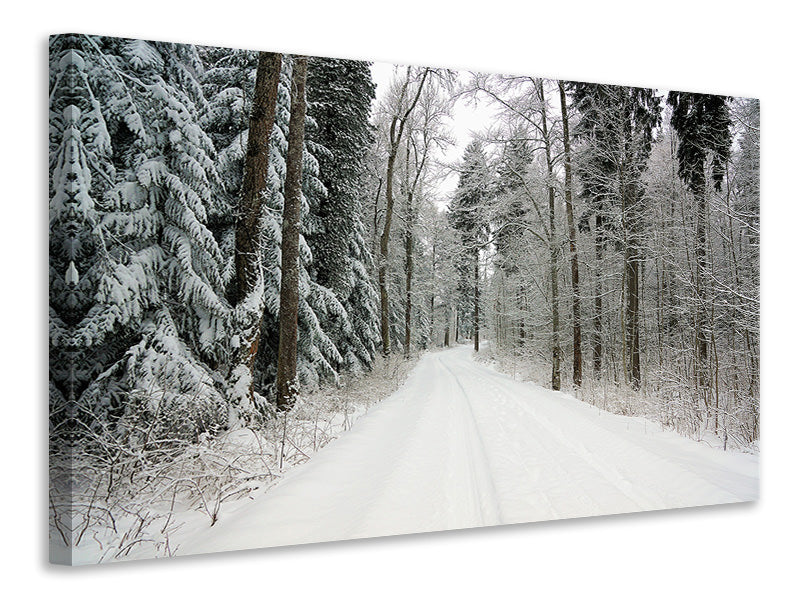 Canvas print Snow in the forest