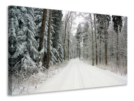 Canvas print Snow in the forest