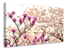 Load image into Gallery viewer, Canvas print Beautiful magnolia XL
