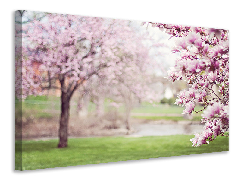 Canvas print Beautiful magnolias