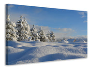 Canvas print Beautiful snow landscape
