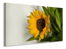Load image into Gallery viewer, Canvas print Beautiful sunflower
