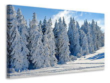 Load image into Gallery viewer, Canvas print Beautiful winter landscape

