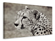 Load image into Gallery viewer, Canvas print Beautiful cheetah

