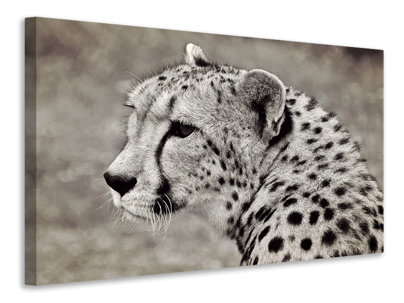 Canvas print Beautiful cheetah