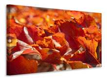 Load image into Gallery viewer, Canvas print Nice autumn leaves
