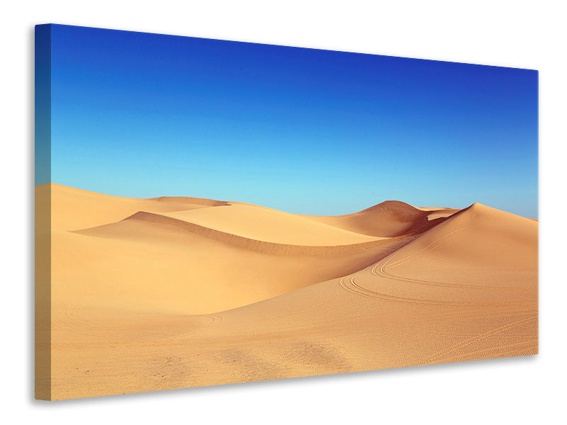 Canvas print Beauty desert