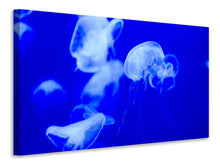Load image into Gallery viewer, Canvas print Floating jellyfish
