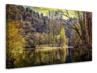 Canvas print Lake in the forest
