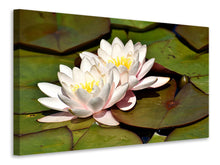 Load image into Gallery viewer, Canvas print Water lily duo in white

