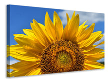 Load image into Gallery viewer, Canvas print Sunflower in XXL
