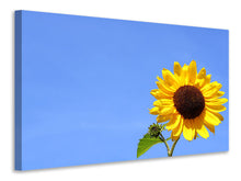 Load image into Gallery viewer, Canvas print Sunflower with blue sky
