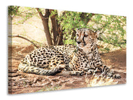 Canvas print Sun cheetah