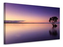Load image into Gallery viewer, Canvas print Sunset on the tree in the water
