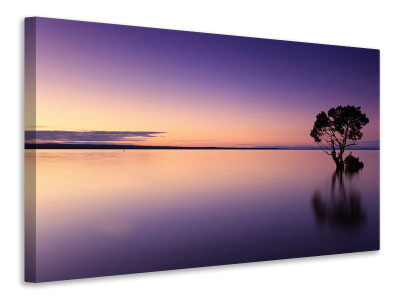 Canvas print Sunset on the tree in the water