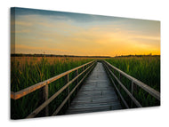 Canvas print Sunset in the fields
