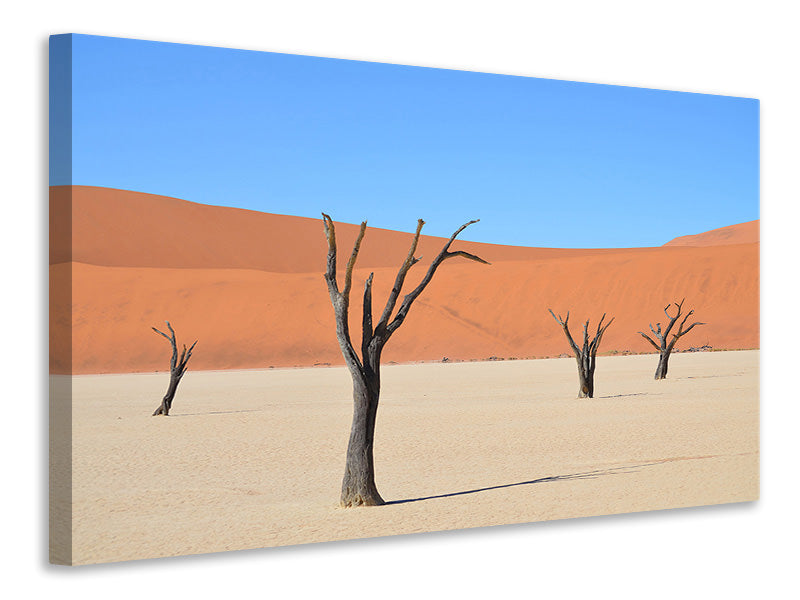 Canvas print Sossusvlei Namibia