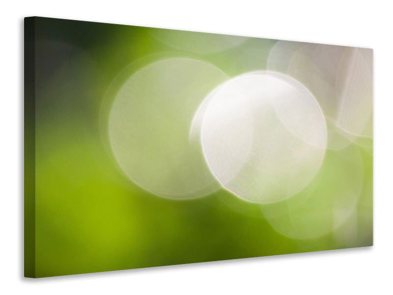 Canvas print Reflections balls