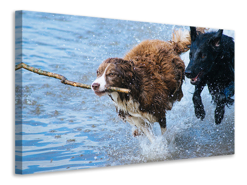 Canvas print Playing dogs
