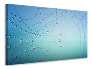 Canvas print Cobweb in morning dew