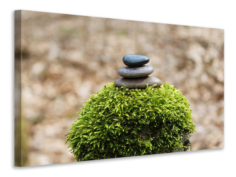 Canvas print Stone pile on plant