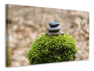 Canvas print Stone pile on plant