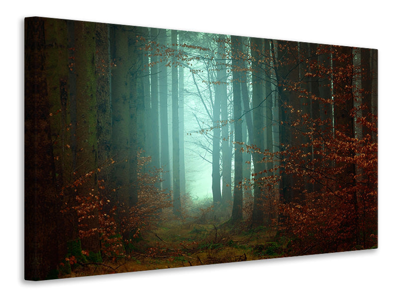 Canvas print Mood in the forest