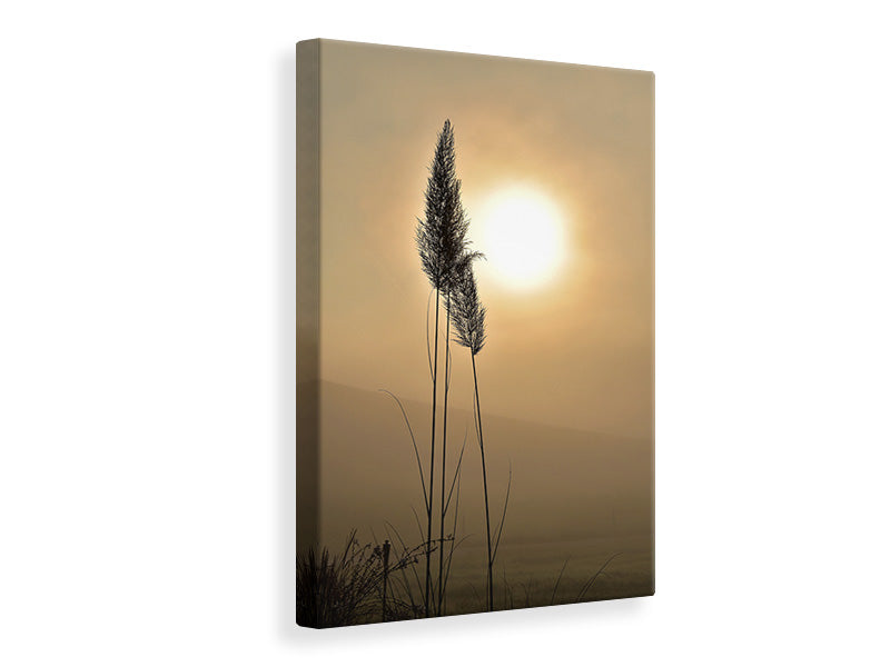 Canvas print atmospheric