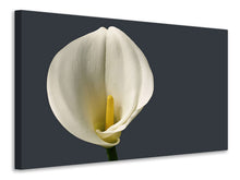 Load image into Gallery viewer, Canvas print Proud Calla

