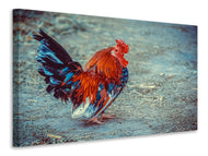Canvas print Proud cock