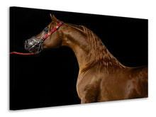 Load image into Gallery viewer, Canvas print Proud horse
