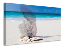 Load image into Gallery viewer, Canvas print beach art
