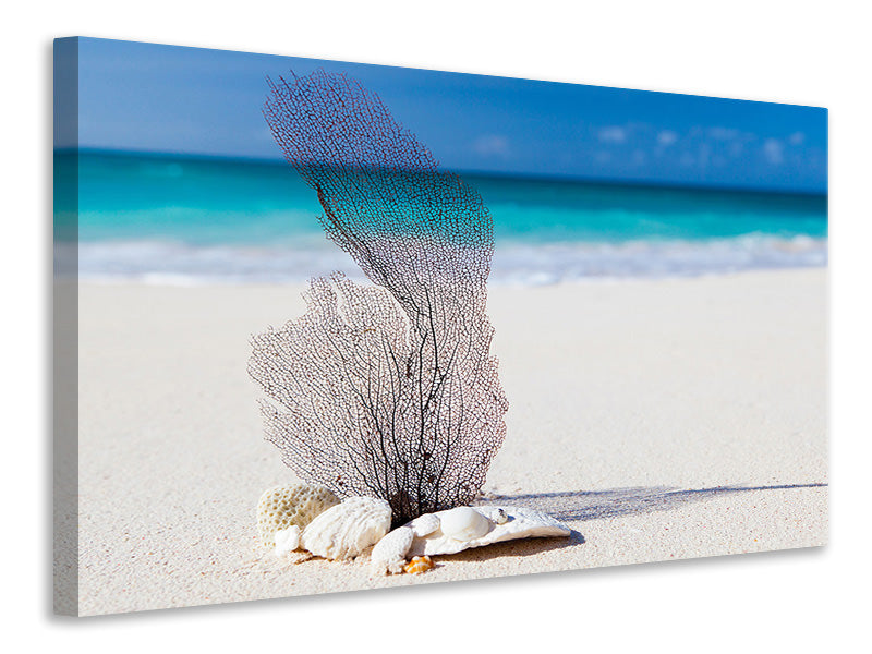 Canvas print beach art