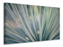 Load image into Gallery viewer, Canvas print Strip of plant
