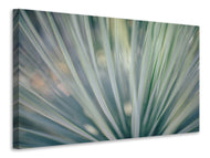 Canvas print Strip of plant