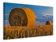 Canvas print straw bales