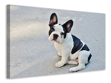 Load image into Gallery viewer, Canvas print Sweet French Bulldog
