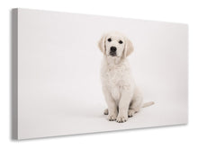 Load image into Gallery viewer, Canvas print Sweet Golden Retriever puppy
