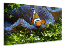 Load image into Gallery viewer, Canvas print Cute clownfish
