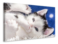 Canvas print Sweet kitten