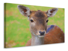 Load image into Gallery viewer, Canvas print Sweet deer
